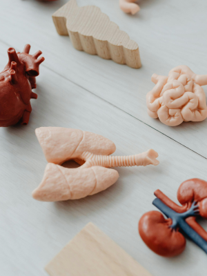 Parler des pathologies en consultation